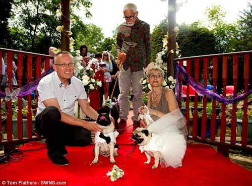 [新聞] 主人花2萬元為寵物狗辦婚禮 禮服戒指一應俱全
