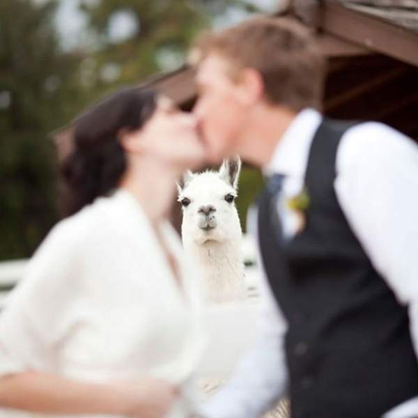 準新人接招《讓婚禮更有趣的拍照法》讓每張照片都有「亮點」可尋